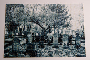 Cemtery Puzzle 252 Pcs - Sacramento City Cemetery in Infrared