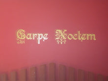 Load image into Gallery viewer, Carpe Noctem (Seize the Night) Vampire inspired/Vinyl Wall Decal - Pillbox Designs
