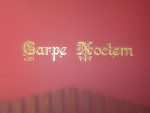 Carpe Noctem (Seize the Night) Vampire inspired/Vinyl Wall Decal - Pillbox Designs