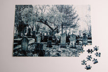 Load image into Gallery viewer, Cemtery Puzzle 252 Pcs - Sacramento City Cemetery in Infrared
