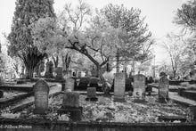 Load image into Gallery viewer, Cemtery Puzzle 252 Pcs - Sacramento City Cemetery in Infrared
